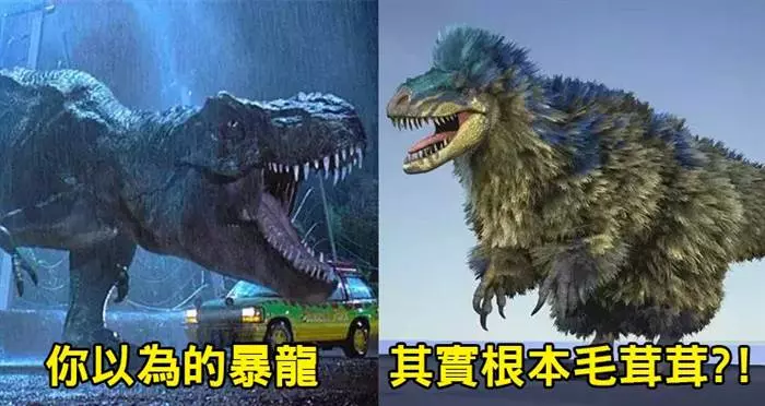 都被科學家騙慘了!其實恐龍可能「跟你想像的都不一樣」,「兇惡暴龍」其實根本長得「超級搞笑」?!