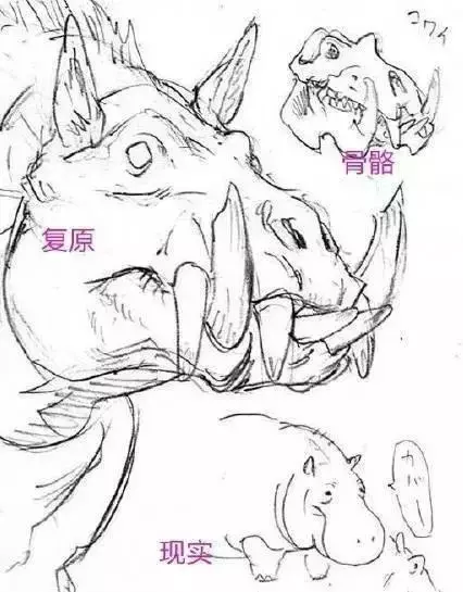 都被科學家騙慘了!其實恐龍可能「跟你想像的都不一樣」,「兇惡暴龍」其實根本長得「超級搞笑」?!