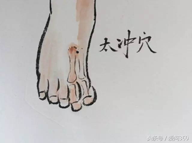 排肝火、調脾胃就按按這些穴位,多按按對肝臟也是一種保護!