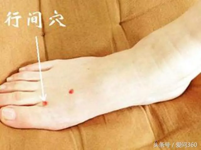 排肝火、調脾胃就按按這些穴位,多按按對肝臟也是一種保護!