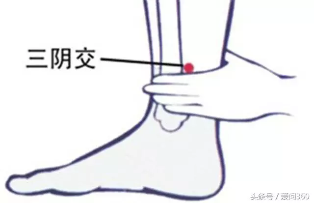 排肝火、調脾胃就按按這些穴位,多按按對肝臟也是一種保護!