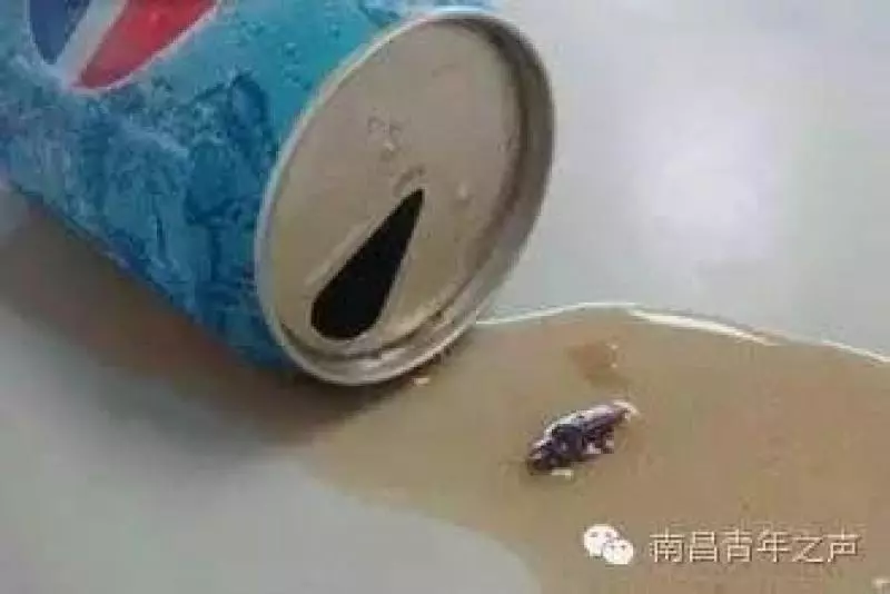 家裡的鍋生鏽怎麼辦?偷偷教你一招,快速有效
