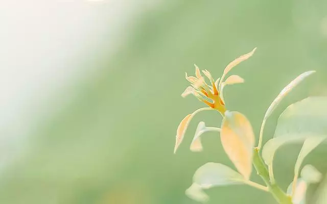 背叛了這幾個星座是最難和好的！