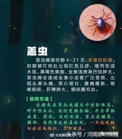 聚餐時感覺被扎了一下,28歲女子險些猝死!近期病例多發,要當心 - 讀讀