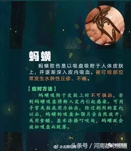聚餐時感覺被扎了一下,28歲女子險些猝死!近期病例多發,要當心 - 讀讀