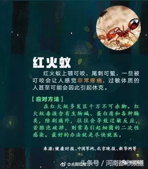 聚餐時感覺被扎了一下,28歲女子險些猝死!近期病例多發,要當心 - 讀讀