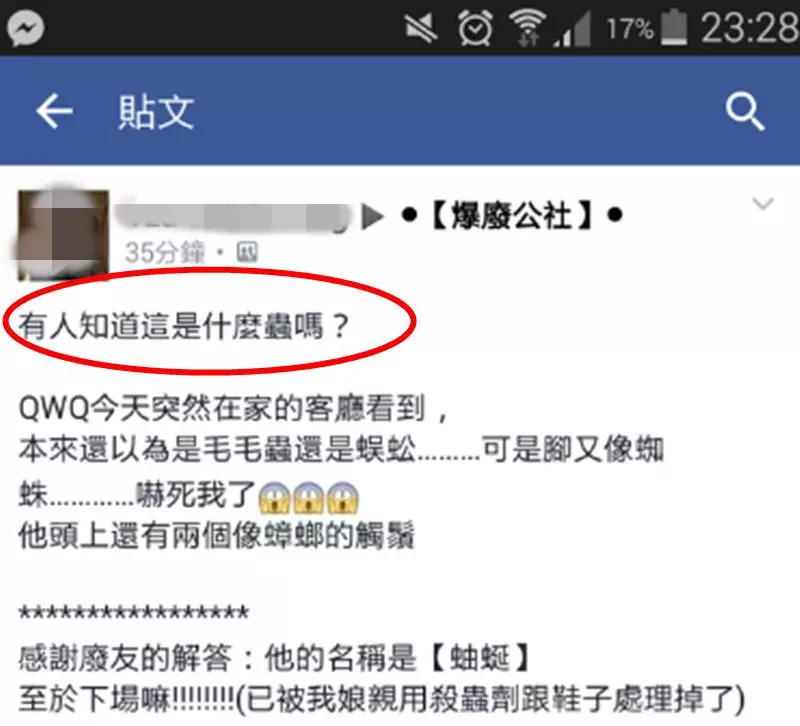 她在家發現「像蜈蚣的可怕怪蟲」瞬間嚇瘋,上網一查發現是...讓她超後悔把牠殺死! - 讀讀