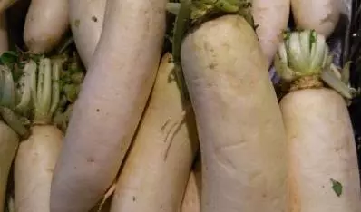 白蘿蔔這樣吃,可能會使營養變毒素,你和家人都不知道