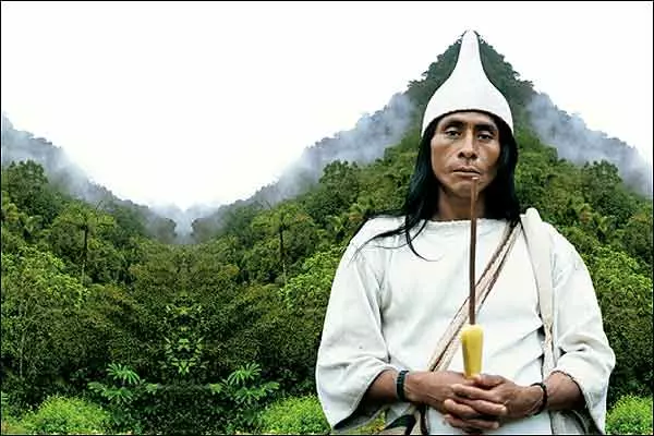 平均壽命100歲的科吉人,他們與世隔絕卻對世界發生的事瞭如指掌,並發出對人類的警告!