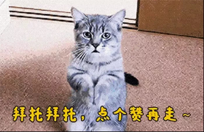 娘家給我陪嫁一輛車,老公把車給小姑子開,婆婆一句話,我想離婚