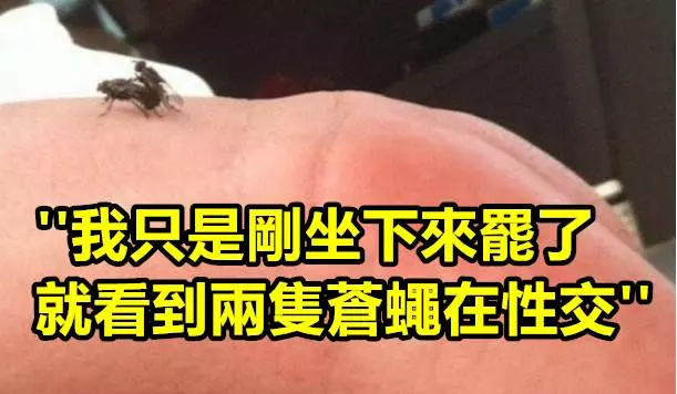 18則讓你再也回不到普通生活的「極致傻眼爆笑短文」!