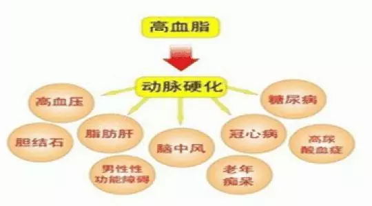 這幾種食物是降血脂的「好手」,經常吃一點,高血脂「悄悄」溜走