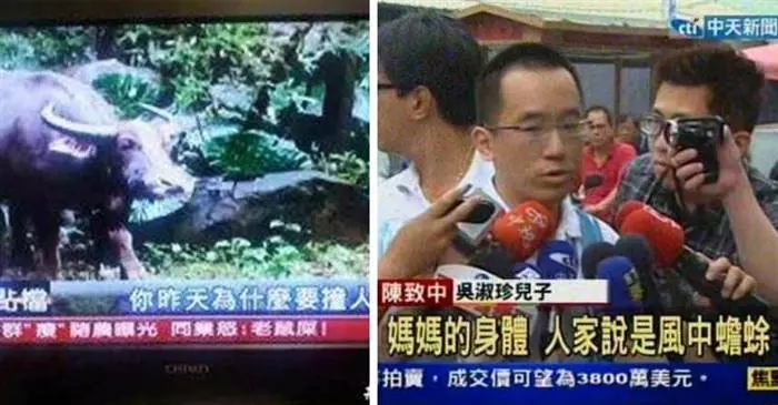 記者正常發揮的「超鬧圖集」看幾次都笑到流淚,網友忍不住吐槽:「其實臺灣媒體是梗圖製造業!?」