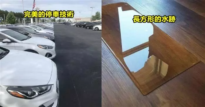 25張詮釋「''完美''到底是什麼概念」的超完美舒壓圖! - 幾米長城 - 娛樂分享區