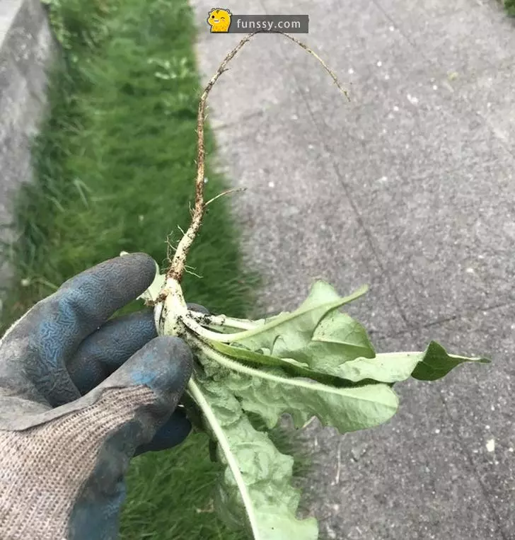 25張詮釋「''完美''到底是什麼概念」的超完美舒壓圖! - 幾米長城 - 娛樂分享區