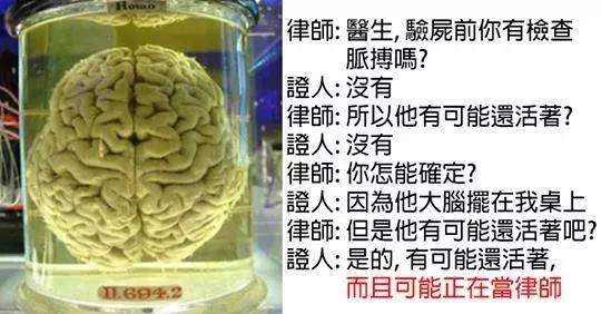 24個讓法官笑到內傷的「超ㄎ一ㄤ法庭對話」,最後一個也太搞笑了吧!