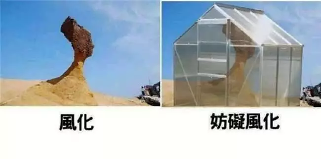 到底哪來這麼多梗?網友創意無極限...「少女時代」完全戳中笑點XDDD