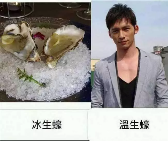 到底哪來這麼多梗?網友創意無極限...「少女時代」完全戳中笑點XDDD