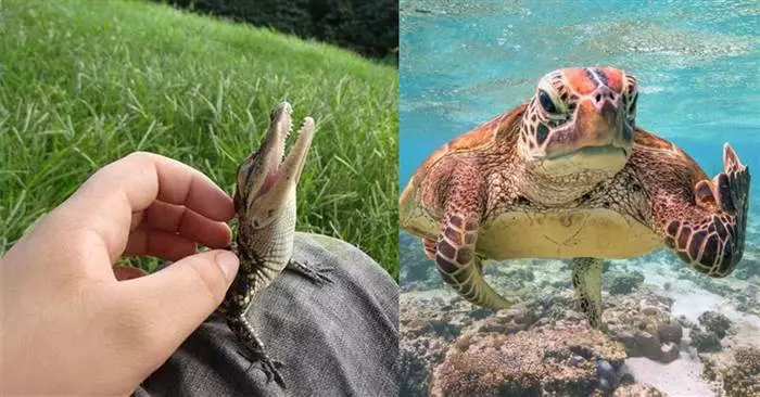 21張能夠讓你「一天的疲勞都消失的無影無蹤」的治癒照片!
