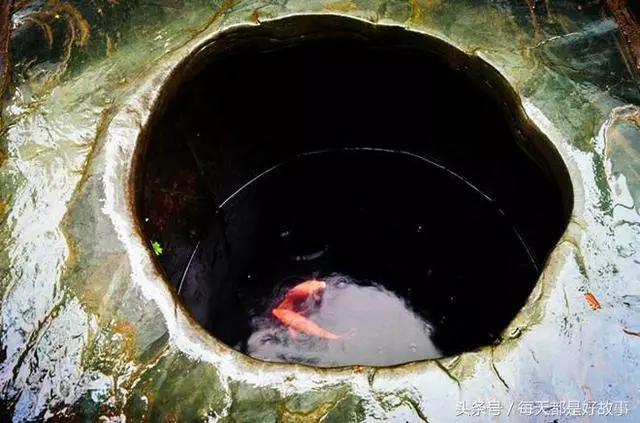 古井鯉魚躍龍門,一段塵封的往事,見證父母親感人肺腑的愛情