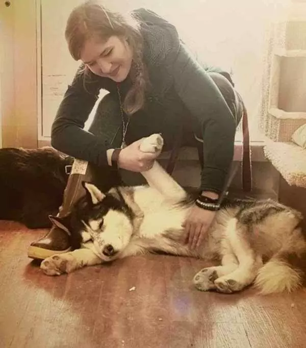 狗狗在你面前曬肚皮,可不只是在撒嬌還有另一個意思,讓人心疼