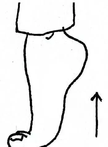 轉「腳踝」好處多,保心臟、降血壓、防中風、治失眠……