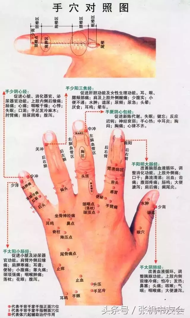 手相面相教你識人識健康