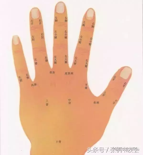 手相面相教你識人識健康