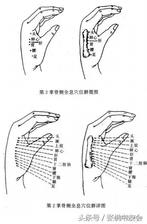 手相面相教你識人識健康
