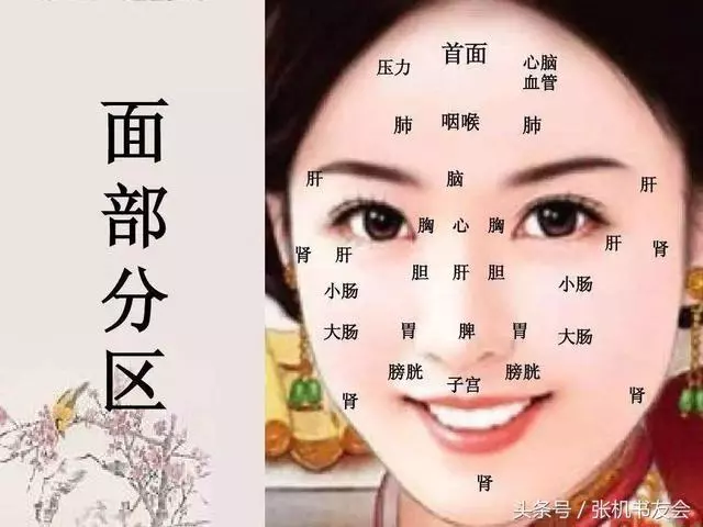 手相面相教你識人識健康