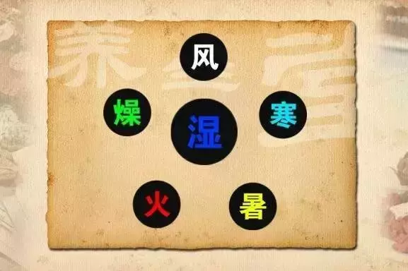 生病的步驟:虛→寒→濕→凝→瘀→堵→瘤→癌!「寒濕」是萬病之源!避免寒濕、排寒祛濕非常重要 - 讀讀