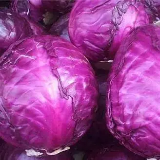 這三種菜堪稱「養生菜」,降血壓、降血脂、降血糖效果好!每天不妨多吃點