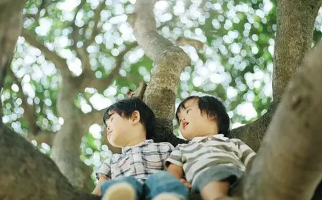 心理學:你第一眼先注意到什麼?看出真實的你!