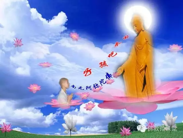 一段神奇的佛緣 - Q博士