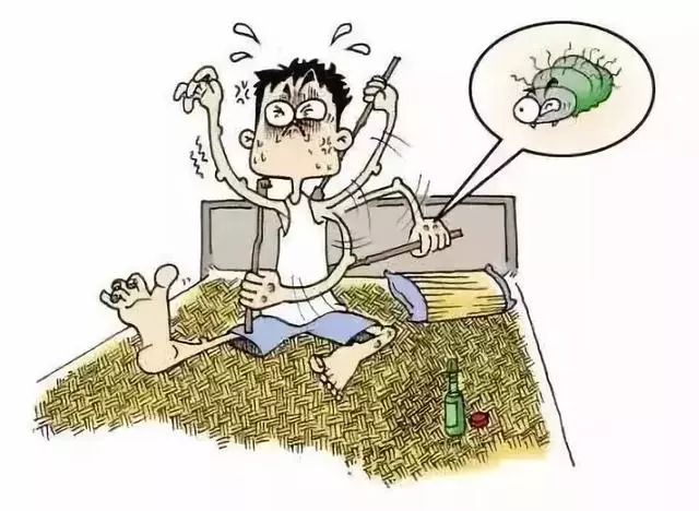 實用|枕頭裡藏著大量蟎蟲你敢睡?教你一招快速殺死蟎蟲