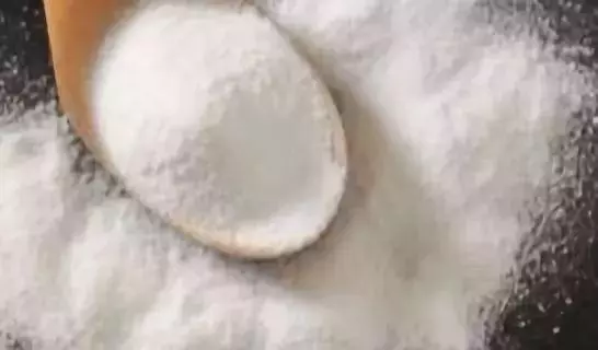 實用|枕頭裡藏著大量蟎蟲你敢睡?教你一招快速殺死蟎蟲