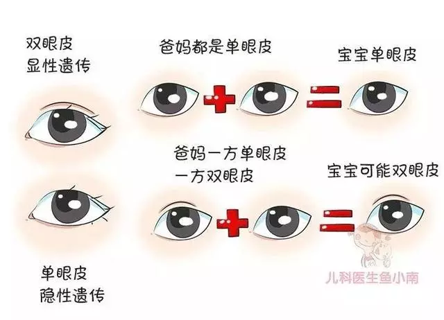 寶寶現在小眼睛,以後會變大嗎?醫生:超過這個年齡,不會再大了