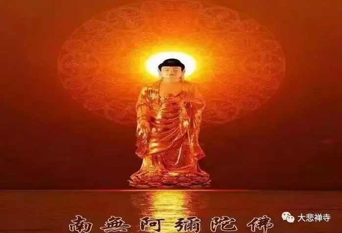 妙蓮老和尚:能治萬病的妙藥!