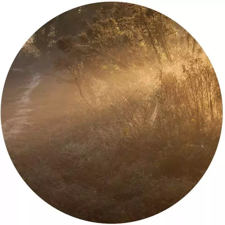 修慈悲心,只要十五秒