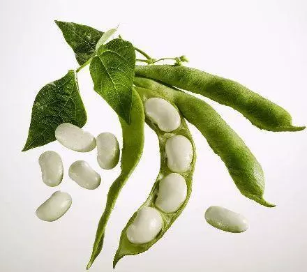 高血糖不能拖,每天來點「天然胰島素」,輕鬆穩定血糖不再高!
