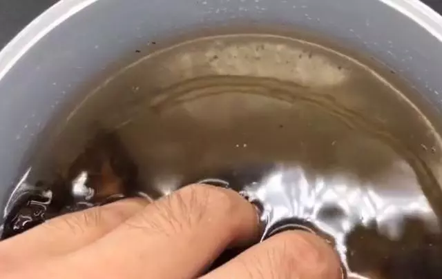 木耳別再用熱水泡了教你簡單一招,用冷水2分鐘快速泡開