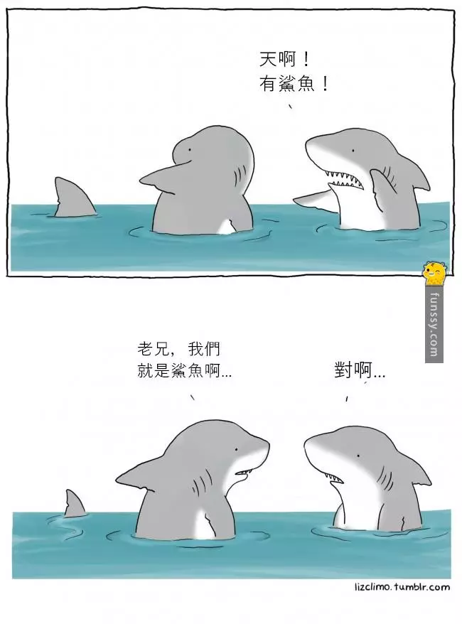 辛普森插畫家筆下「帶點小尷尬的動物世界」!超呆萌畫風絕對會融化你的心房