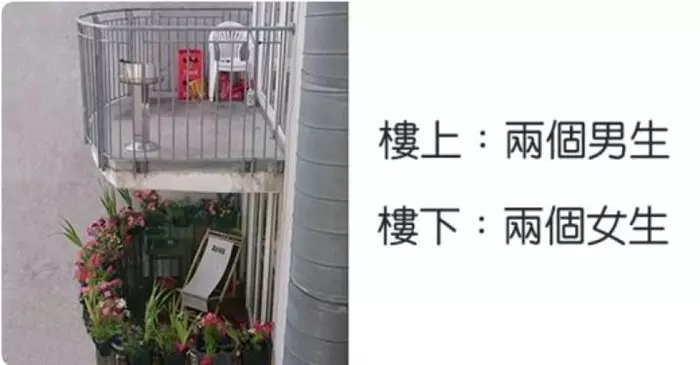 18個網友分享「每天都讓他們充滿歡樂」的逗趣鄰居們!