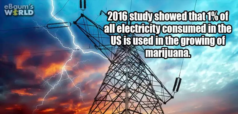 13個會讓你今天一整天過得更有趣的超驚奇冷知識!