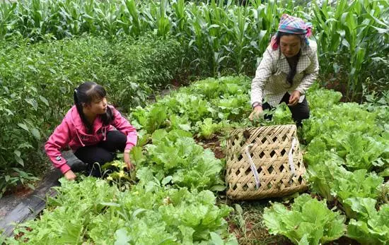 爸媽離婚後,我寄養在舅媽家,十年後我媽罵我「白眼狼」。。。。