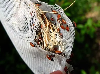 15個「能夠在網上買到」的超荒唐商品,看完後只想問,這些東西真的會有人買嗎...