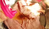 【花生大骨胡椒豬肚湯】的詳細做法~