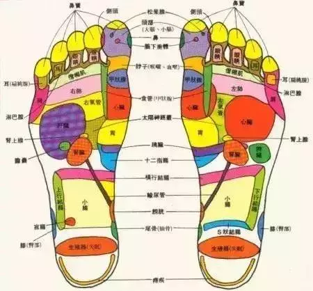 人老腳先衰!教你腿足保健操,舒筋活絡人不老!