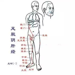 拍打足厥陰肝經和足少陽膽經,疏通肝通道,排毒平肝火
