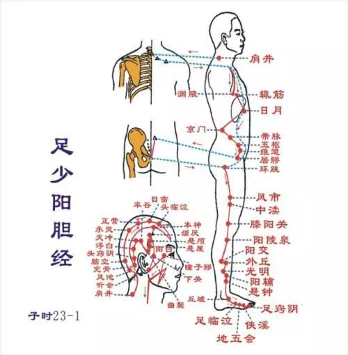 拍打足厥陰肝經和足少陽膽經,疏通肝通道,排毒平肝火